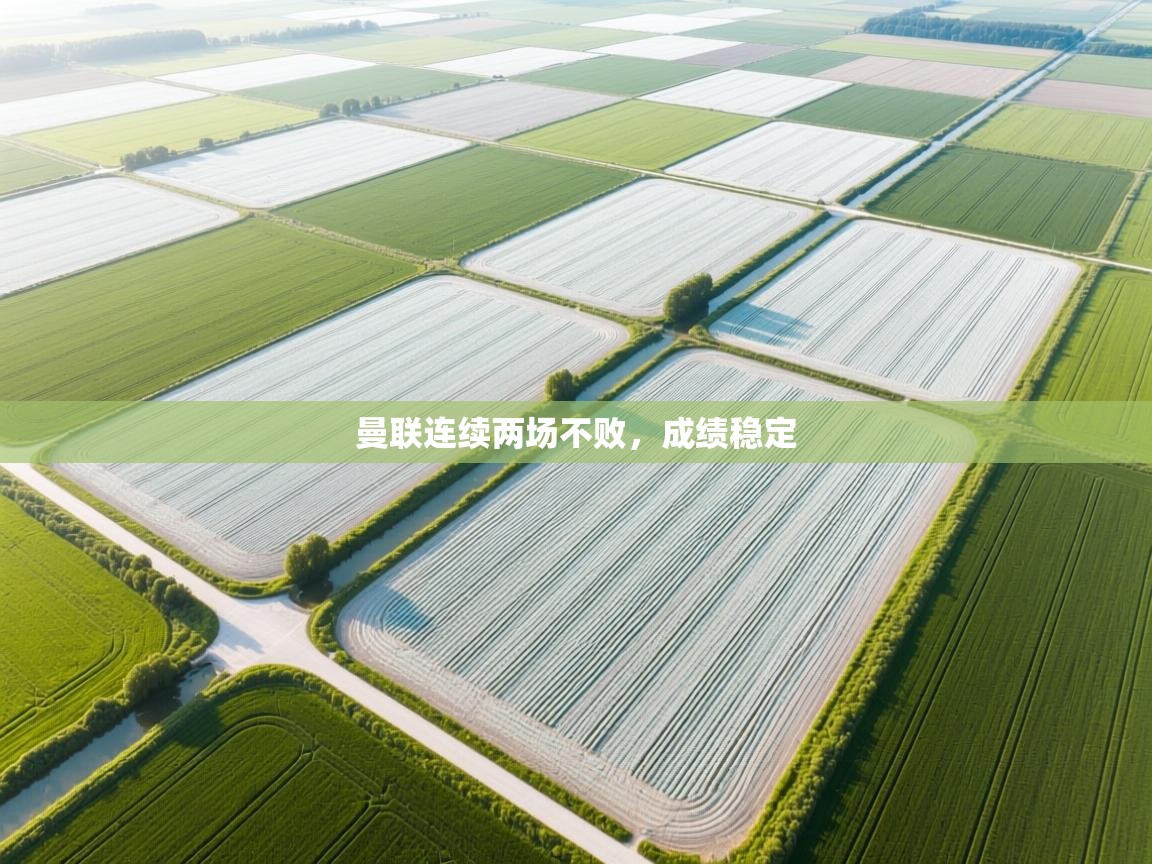 kaiyun sports-曼联连续两场不败,成绩稳定  第2张