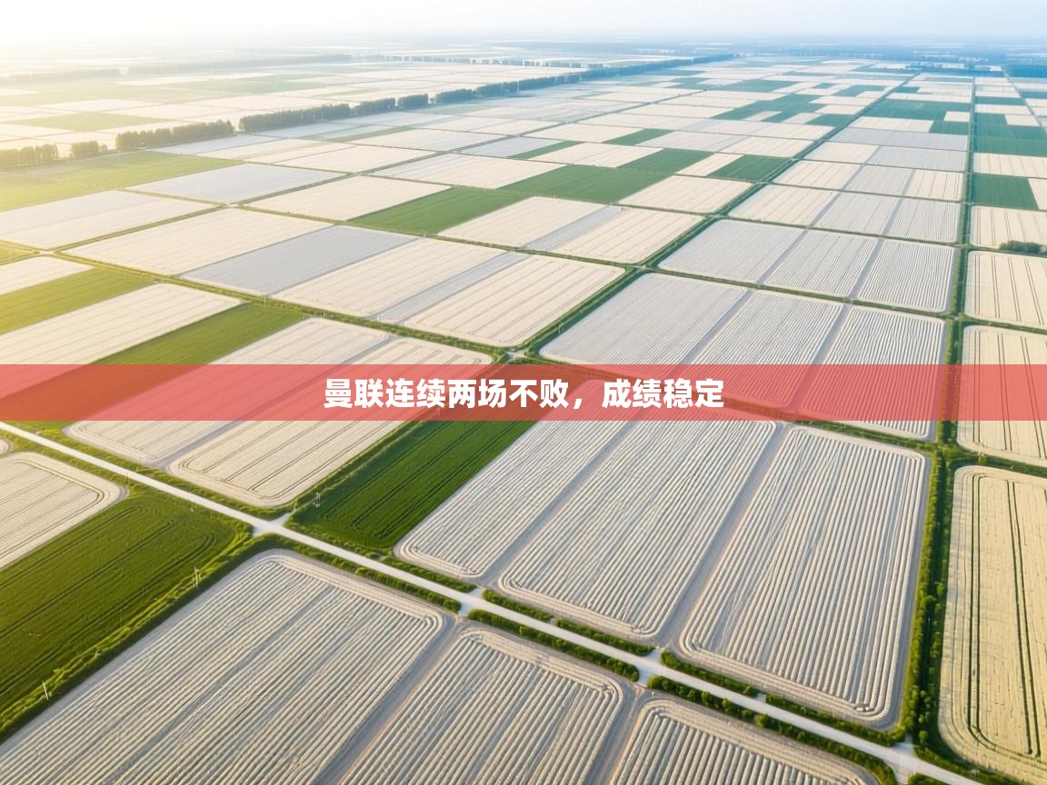 kaiyun sports-曼联连续两场不败,成绩稳定  第3张
