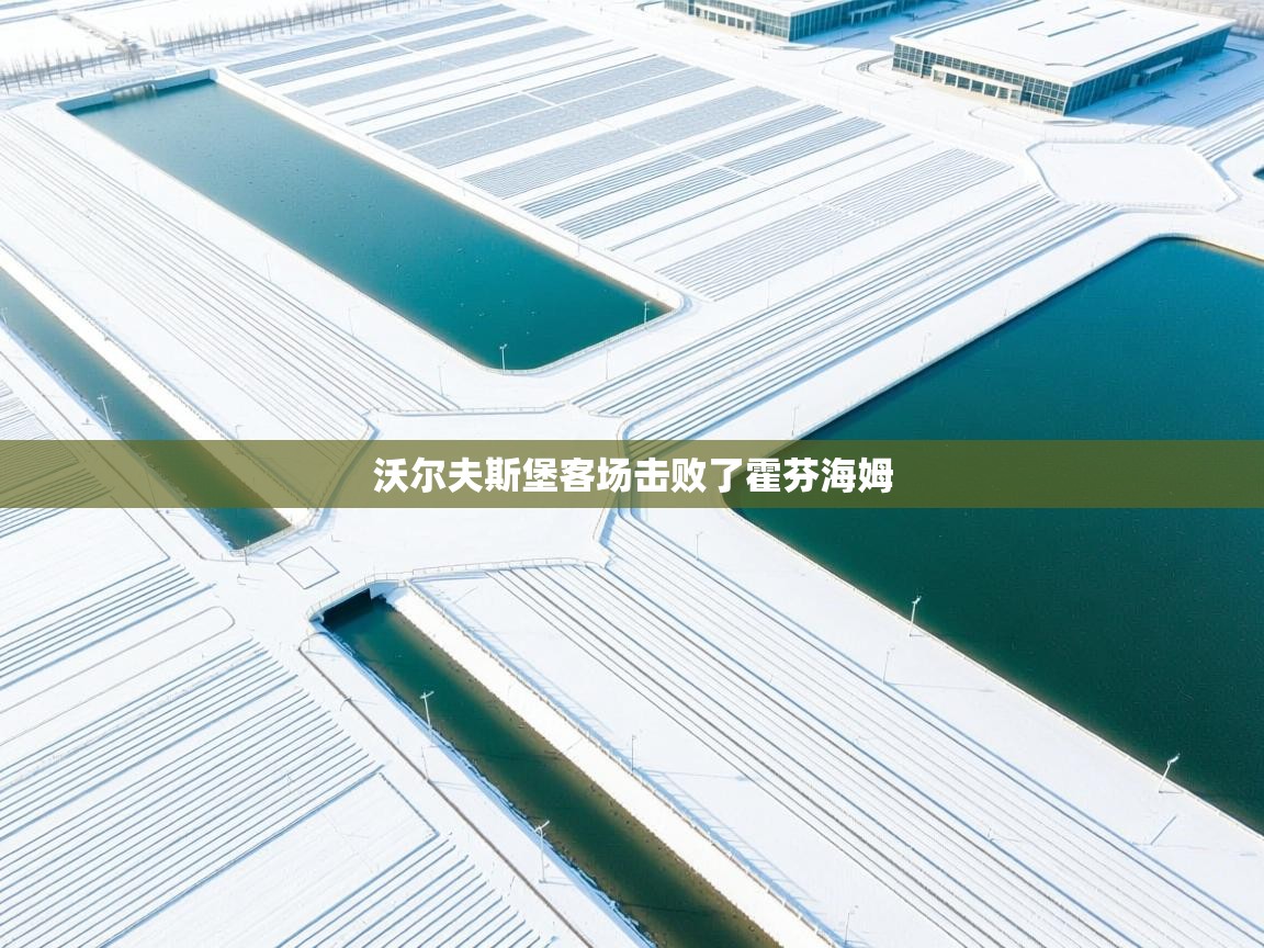 云开体育-沃尔夫斯堡客场击败了霍芬海姆 第1张