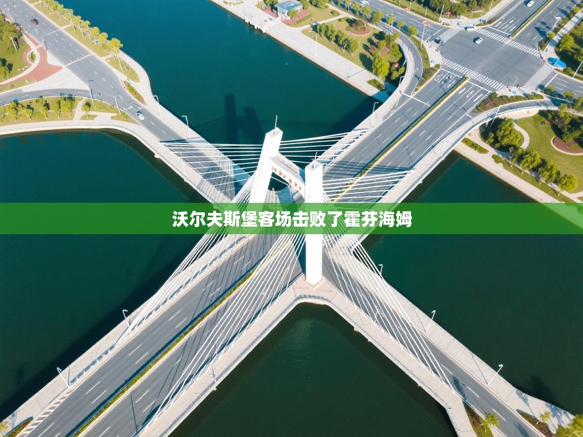 云开体育-沃尔夫斯堡客场击败了霍芬海姆 第3张