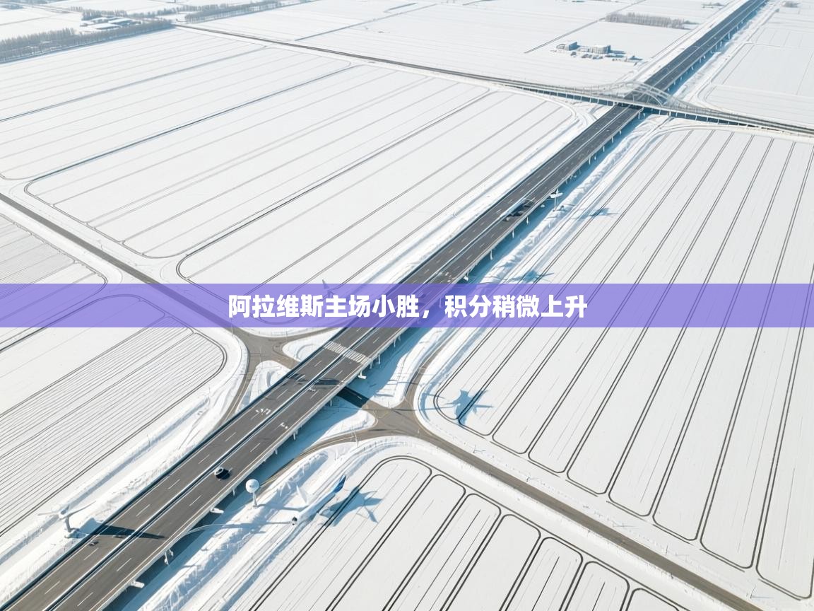 开云体育注册app-阿拉维斯主场小胜,积分稍微上升 第3张