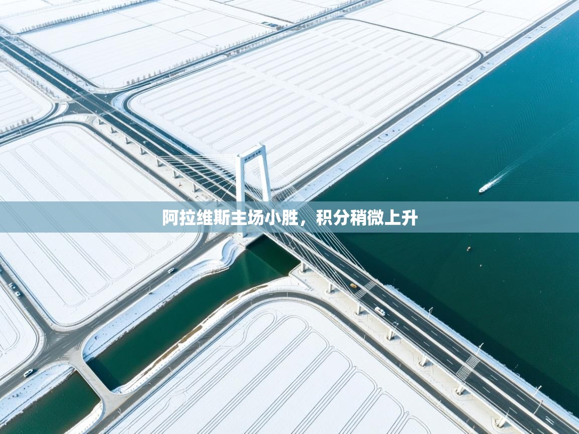 开云体育注册app-阿拉维斯主场小胜,积分稍微上升 第4张