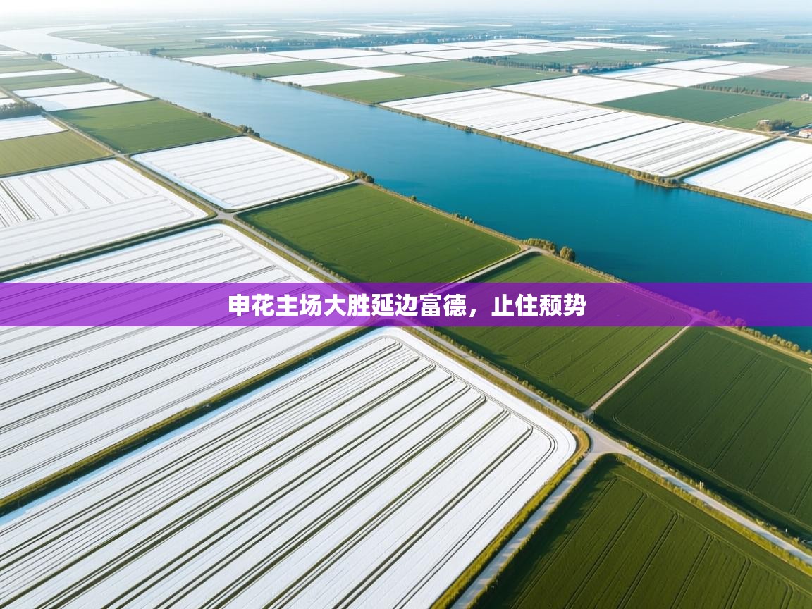 开运体育入口-申花主场大胜延边富德,止住颓势 第1张