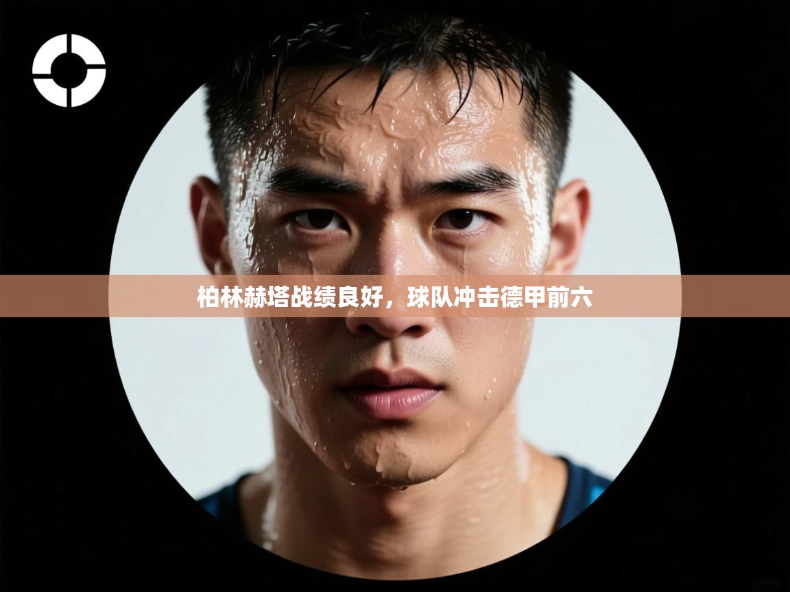 开云体育app官网下载地址-柏林赫塔战绩良好，球队冲击德甲前六  第4张