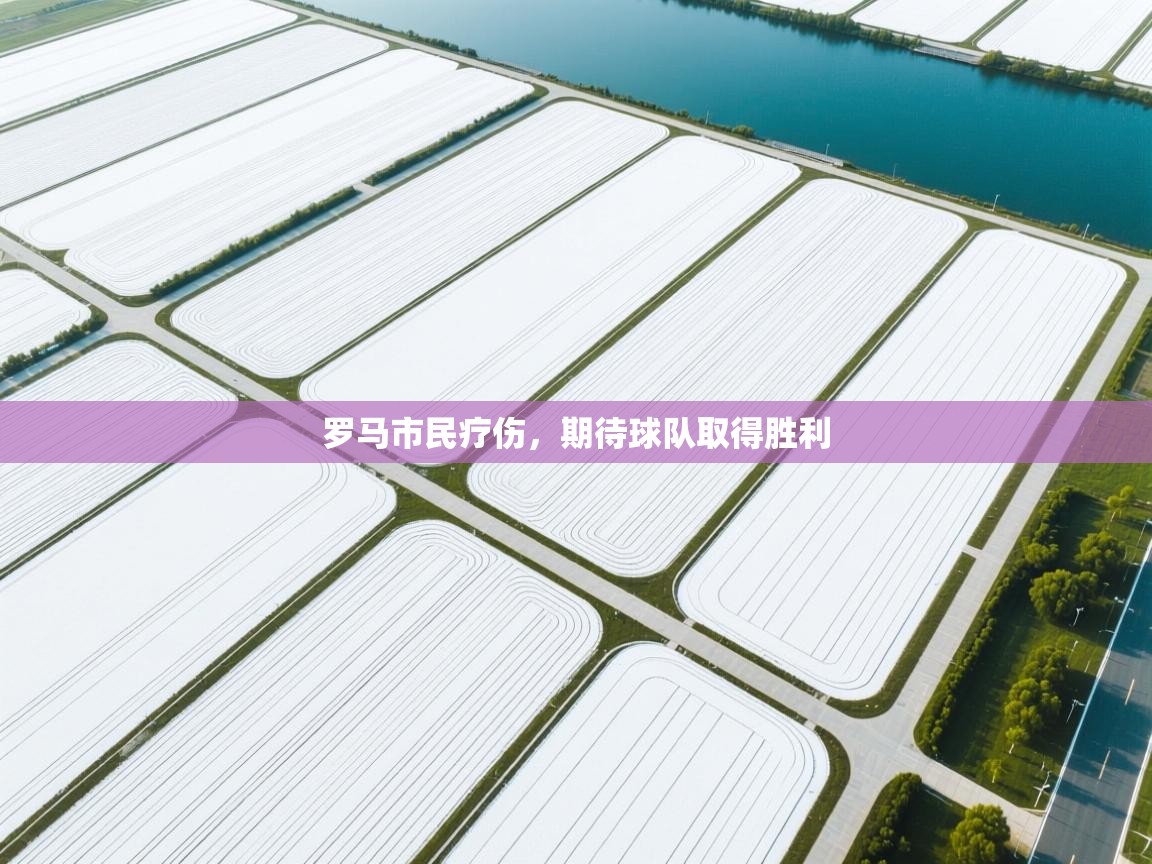 开运体育-罗马市民疗伤，期待球队取得胜利  第2张