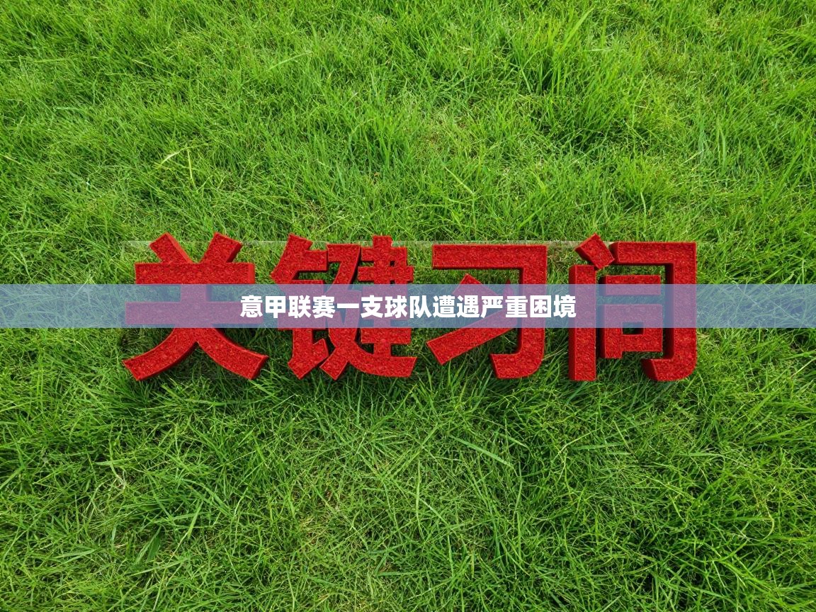 开云体育入口-意甲联赛一支球队遭遇严重困境  第3张