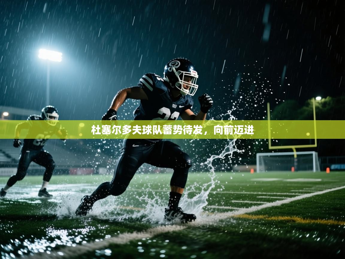 开云手机版-杜塞尔多夫球队蓄势待发，向前迈进  第3张