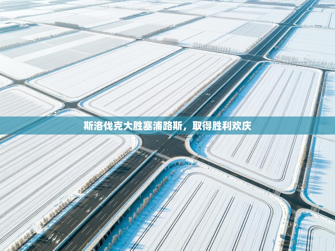 开云体育推送通知设置-斯洛伐克大胜塞浦路斯，取得胜利欢庆  第1张