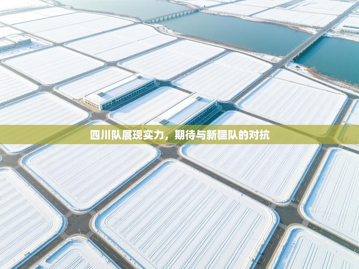 开云体育实名认证入口-四川队展现实力,期待与新疆队的对抗 第2张