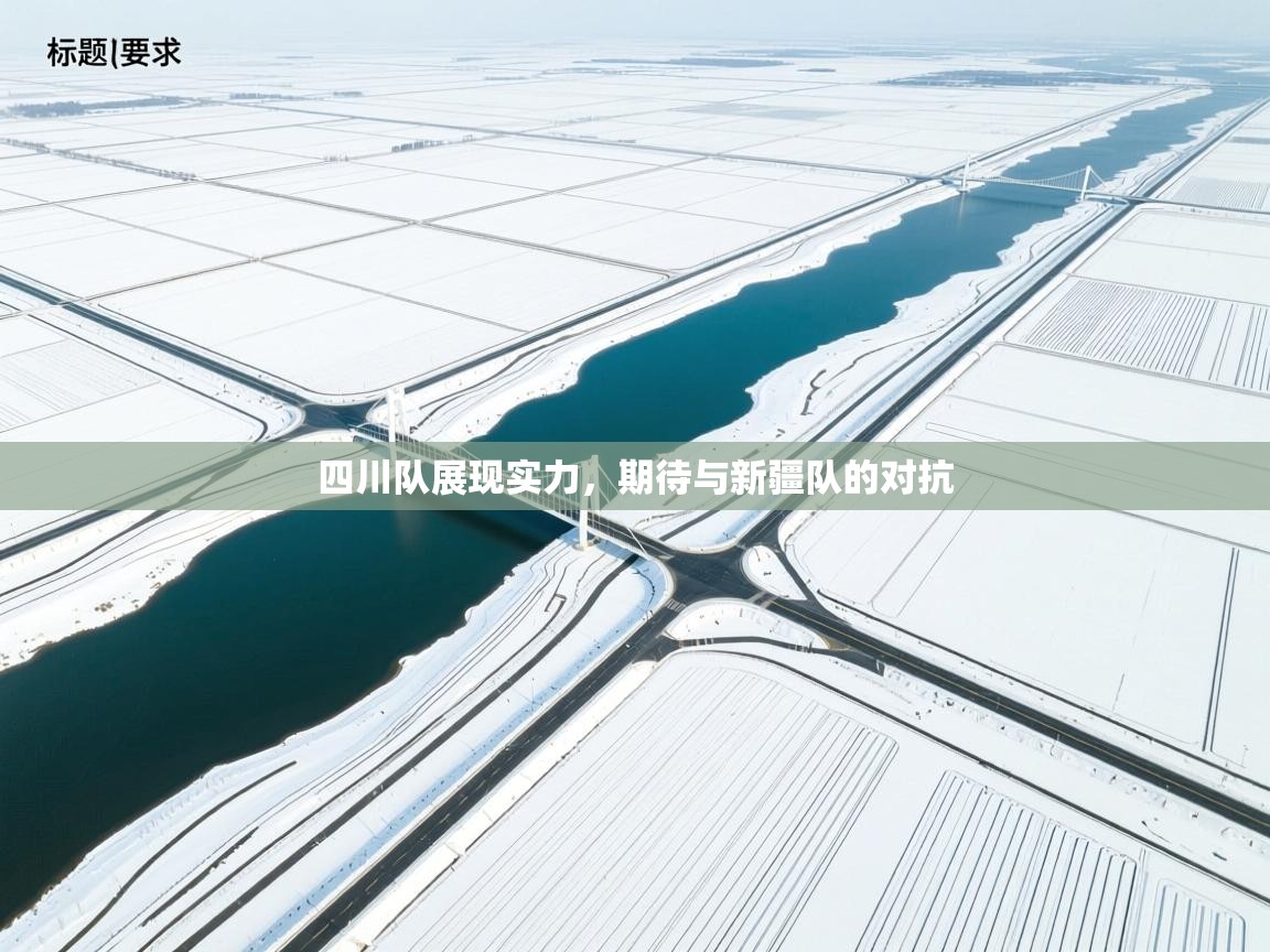 开云体育实名认证入口-四川队展现实力,期待与新疆队的对抗 第3张