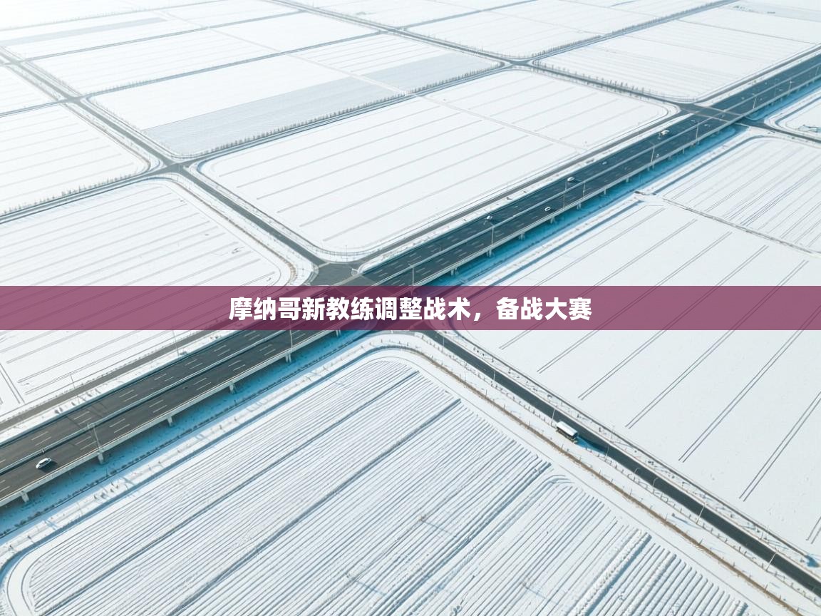 开云体育-摩纳哥新教练调整战术，备战大赛  第3张