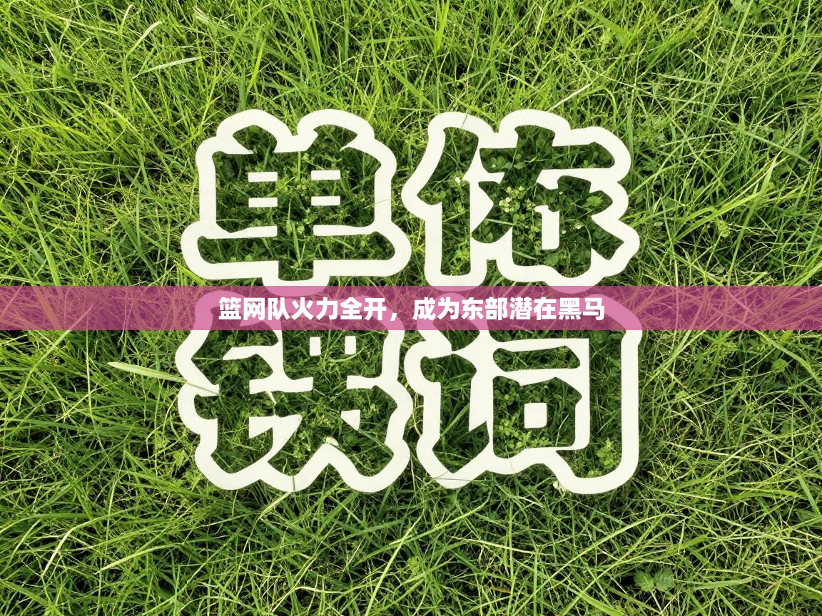 -篮网队火力全开，成为东部潜在黑马  第3张