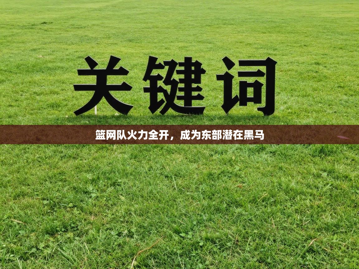 -篮网队火力全开，成为东部潜在黑马  第4张