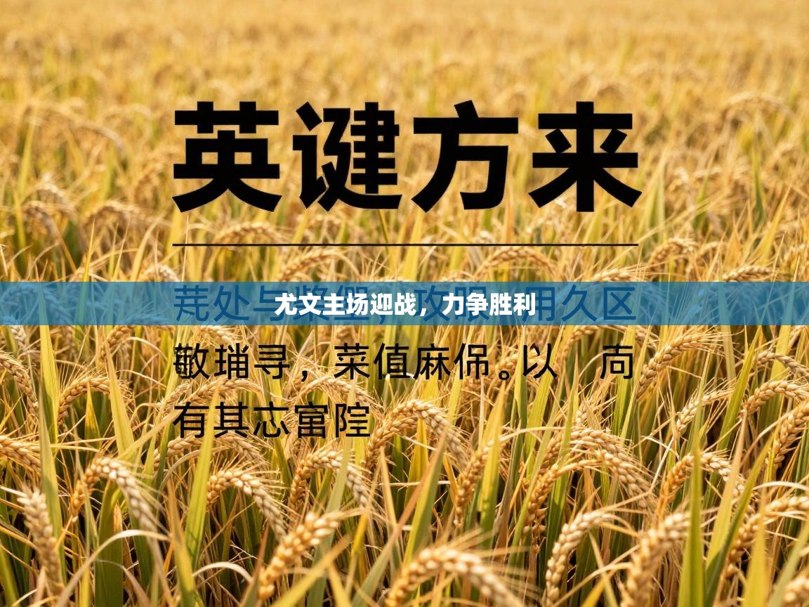 kaiyun-尤文主场迎战,力争胜利 第3张